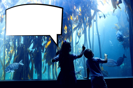 孩子看著水族館的海洋生物