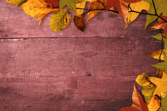 秋天的叶子在木板上
