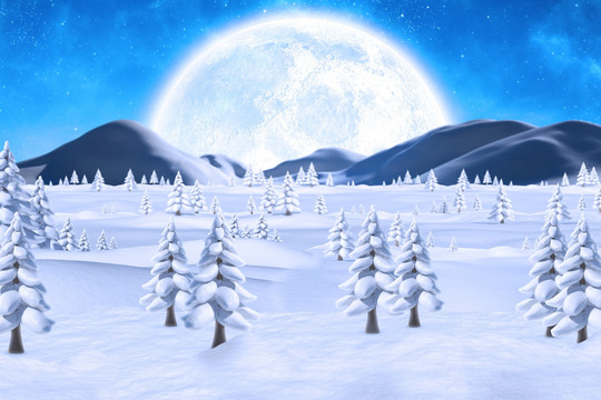 冬天的雪景