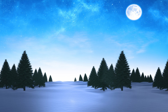 冬天的雪景