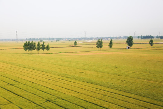 旅途田野