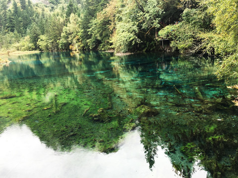 九寨沟风光