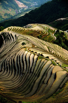 龙脊梯田