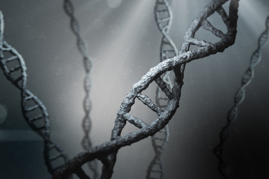查看DNA