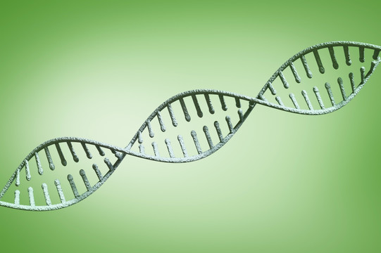 一种DNA与绿色晕观
