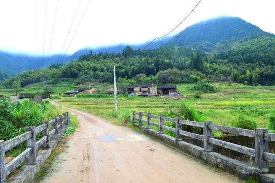 田园田野