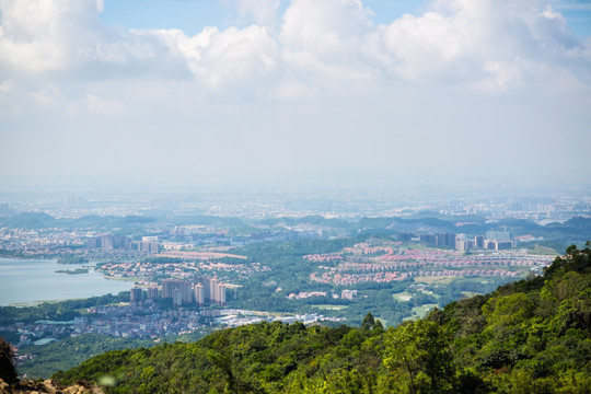 东莞大岭山