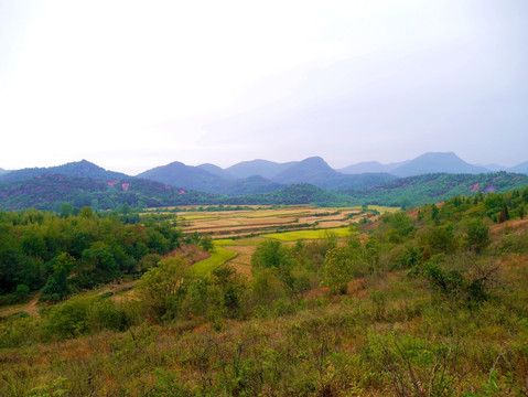 山区农田