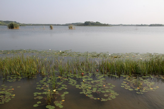 马踏湖湿地公园