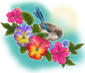 花鳥