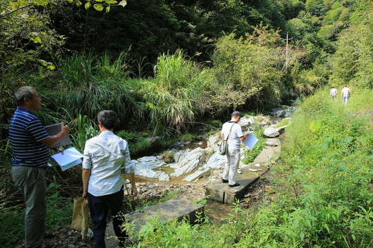 山场堪界