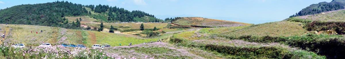 老青山花海全景（亿像素大图）