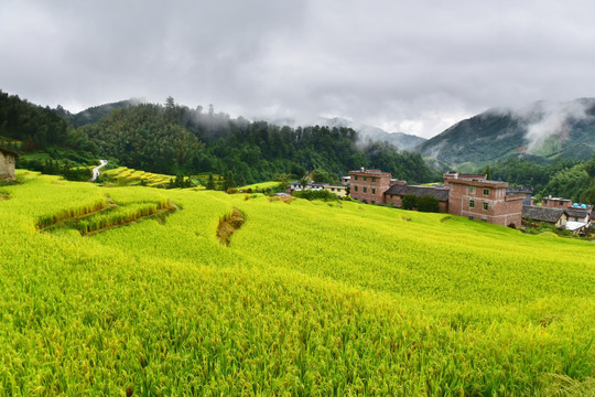 乡村风光