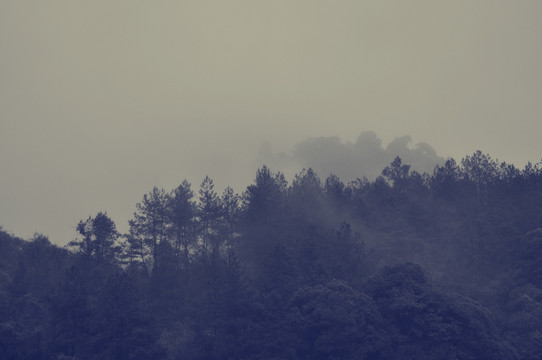 老照片三清山