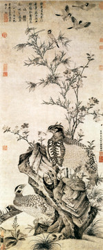 王淵 竹石集禽圖
