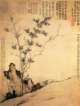 棘竹幽禽圖 張彥輔
