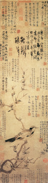 張中 桃花幽鳥圖