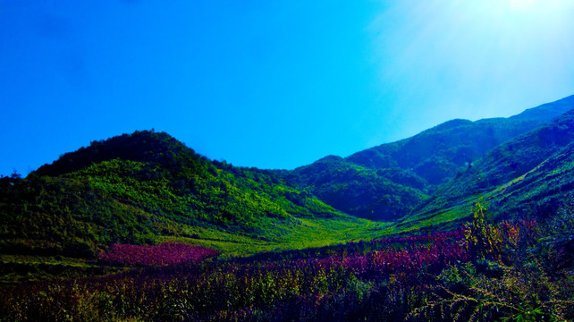 山岭 山丘