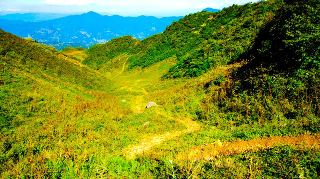 山坡 山地