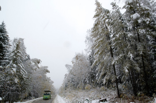 雪