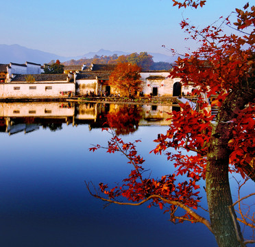 乡村风景