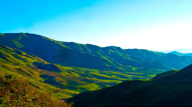 丘陵 山岭