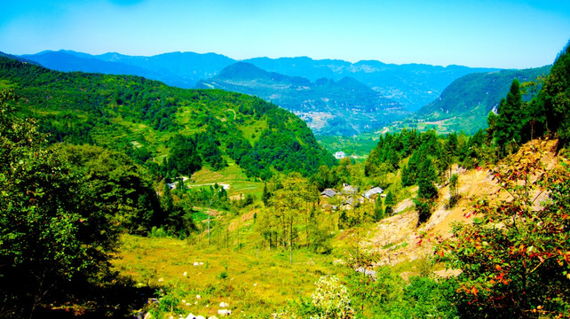 山村 青山