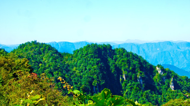 青山 大山