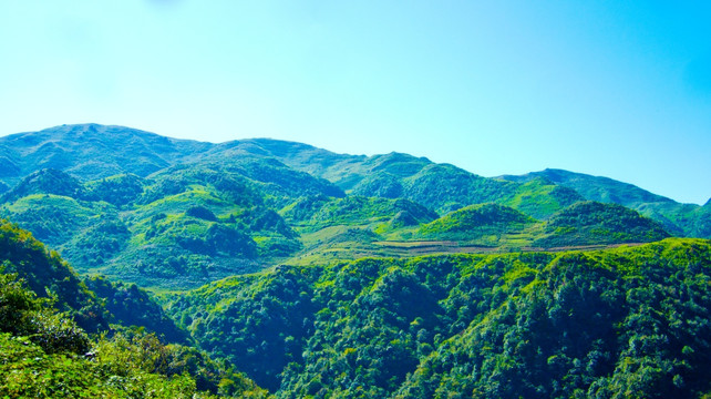 丘陵 青山