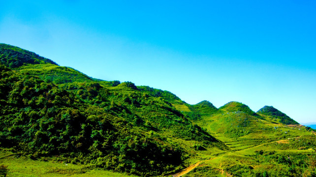 山地 青山