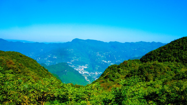 山野 青山