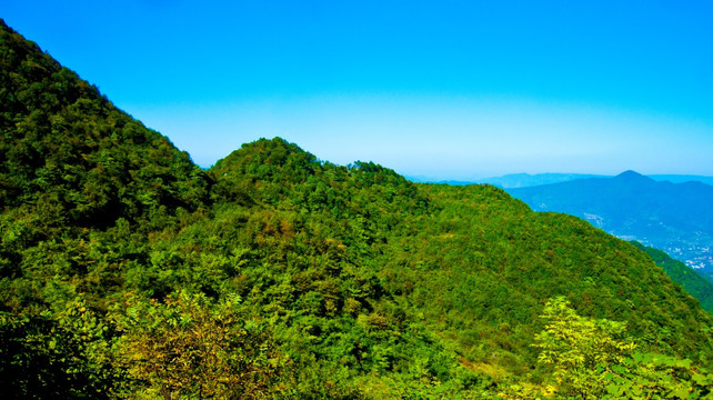 青山 山地