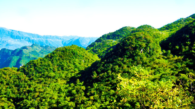 乳峰 青山