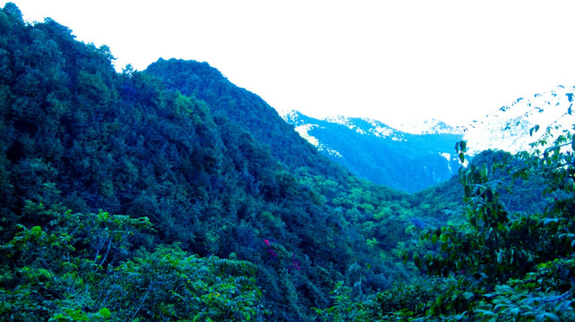 山野 山地