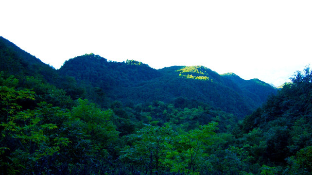 青山 山地