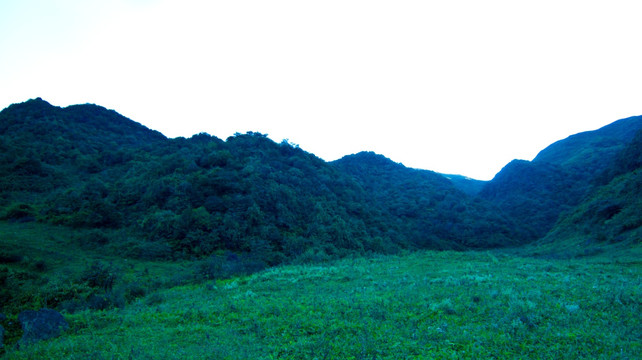 山地 绿野