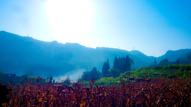 山村早晨 烟村