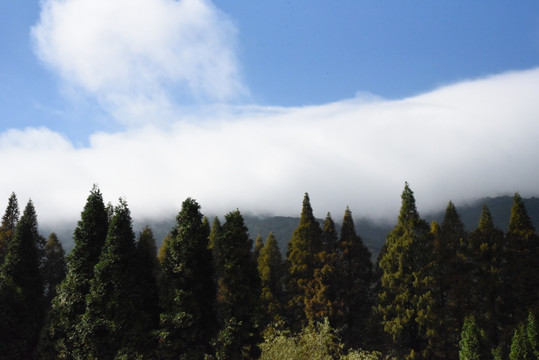 庐山 云层