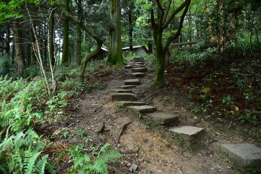 庐山 花径石板路