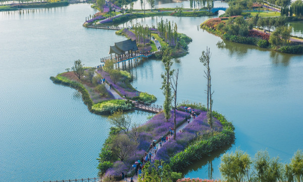 滇池湿地