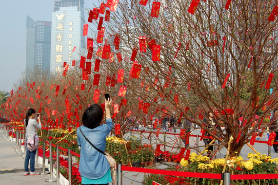 桃花源里迎新春