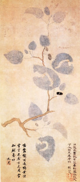 孫艾 蠶桑圖
