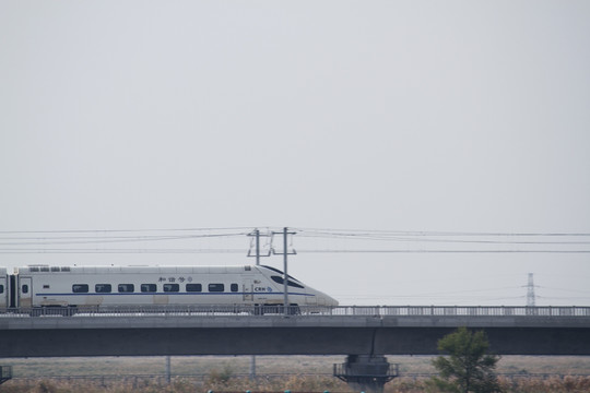 芦苇 湿地 火车