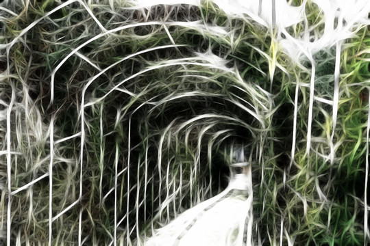 裝飾畫(huà)花廊