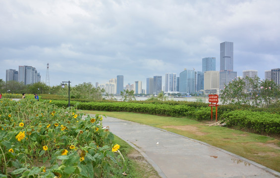 花海公园