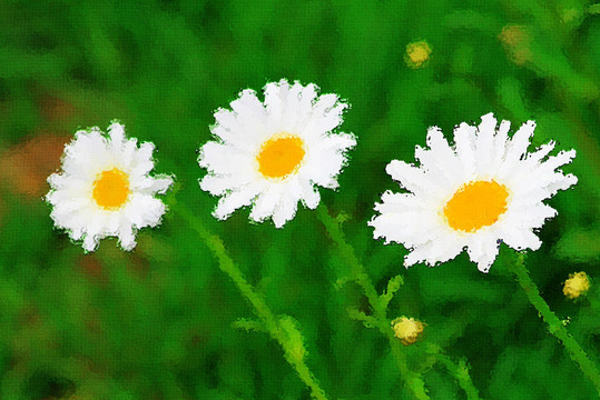 花卉油畫