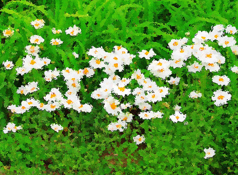 花卉油畫