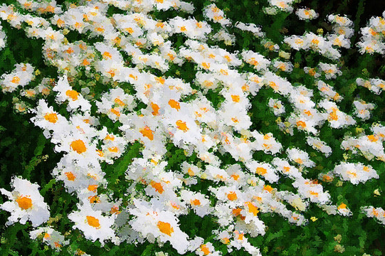 花卉油畫