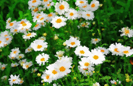 花卉油畫