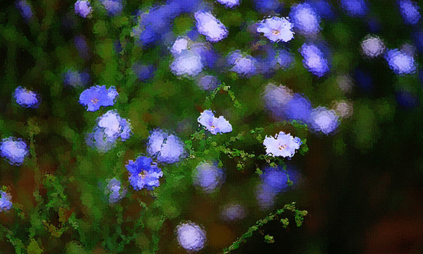 花卉油畫